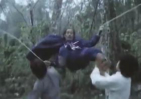 VidVrt Video...
